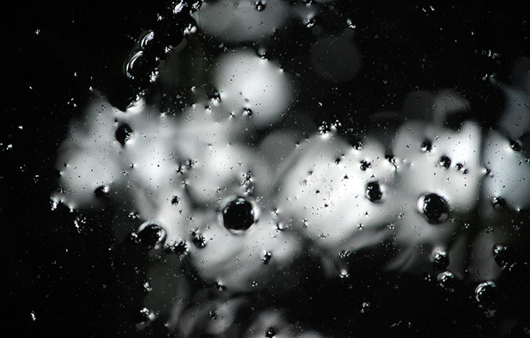 Nước phía dưới giếng đen ngòm, hôi tanh nhưng gia đình bà Tin buộc phải sử dụng vì không còn cách nào khác.