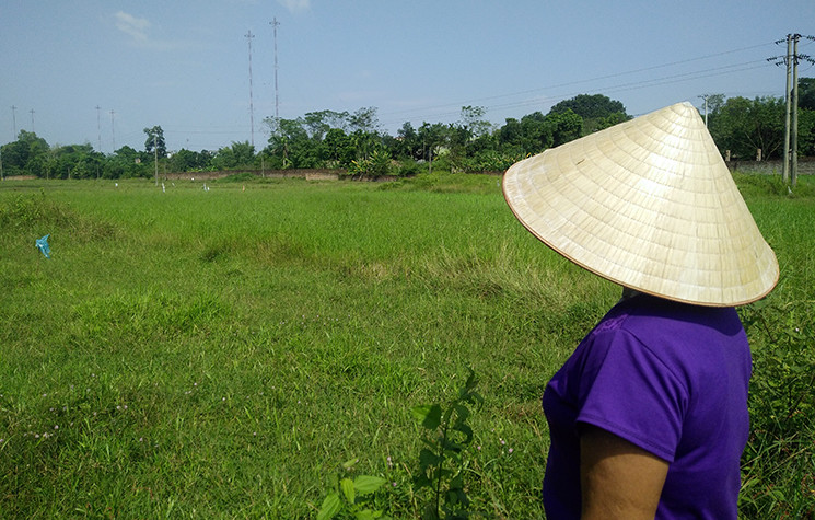 Bà Tin dẫn PV ra ngay trước cửa nhà mình, đôi mắt bà nhìn về phía bãi rác Xuân Sơn, rồi nói tiếp: “Bữa nào mà nhà mua thịt lợn về ăn không dám thái ở bên ngoài, vì chỉ 1, 2 phút thôi là ruồi đã bâu đến kín. Hồi mùa hè, một đứa cháu nội ăn mít, nhựa dính đầy mồm thế là bị ruồi bâu dính chặt. Chúng tôi không biết đến bao giờ mới thoát khỏi kiếp cảnh sống chung với rác như này”.