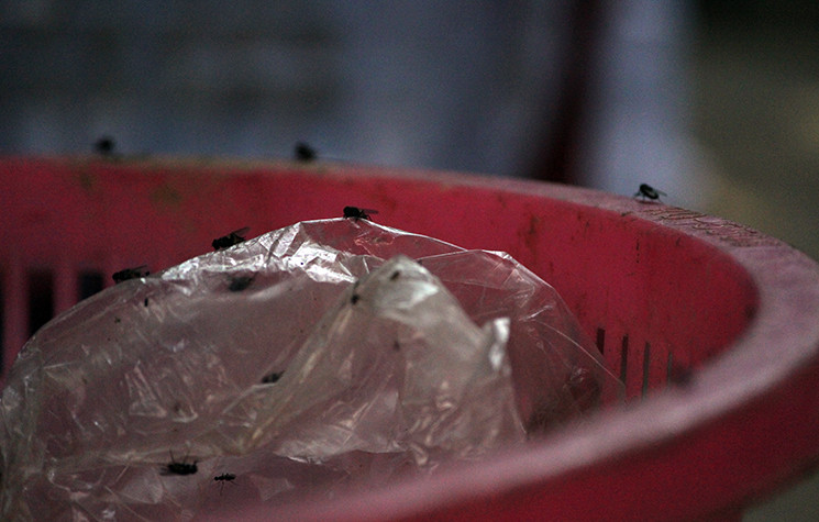 Bà Tin cho hay, chồng bà đã mất từ lâu, trong nhà giờ có 6 người (gồm bà, con trai, con dâu và 3 đứa cháu nội nhỏ tuổi). Hàng ngày con trai bà đi phụ hồ, con dâu bán rau, củ quả ngoài chợ lo trang trải cuộc sống gia đình vẫn đủ ăn. Nhưng từ khi có bãi rác Xuân Sơn, cuộc sống gia đình bà bị đảo lộn rất nhiều.