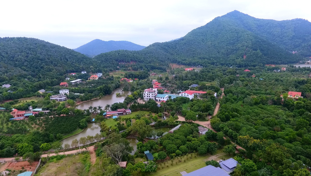 Rung phong ho Soc Son bi 