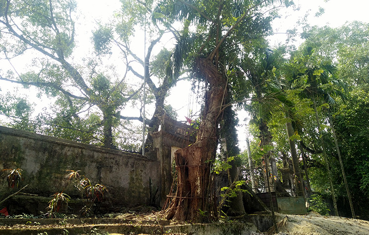 Nguoi dan se tu su dung so tien ban cay sua 100 ty dong?