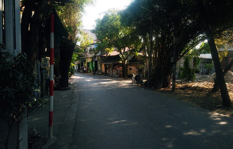 Đường dẫn vào khu mộ rợp bóng cây.