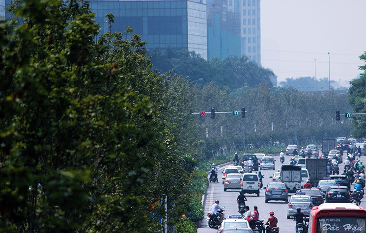 Người dân mong chờ khi Hà Nội vào mùa thu, hàng cây phong lá đỏ chuyển màu vàng rực rỡ và đây sẽ là tuyến phố đẹp nhất, lãng mạn nhất Thủ đô. Tuy nhiên ghi nhận của PV Kiến Thức sáng ngày 9/10, dù đang vào giữa mùa Thu nhưng những cây phong lá đỏ vẫn xanh tươi.