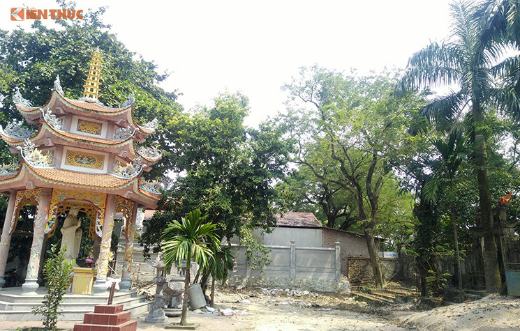 Tien ban cay sua 100 ty dong se duoc su dung nhu the nao?-Hinh-2