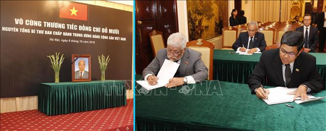 Le vieng nguyen Tong Bi thu Do Muoi-Hinh-10