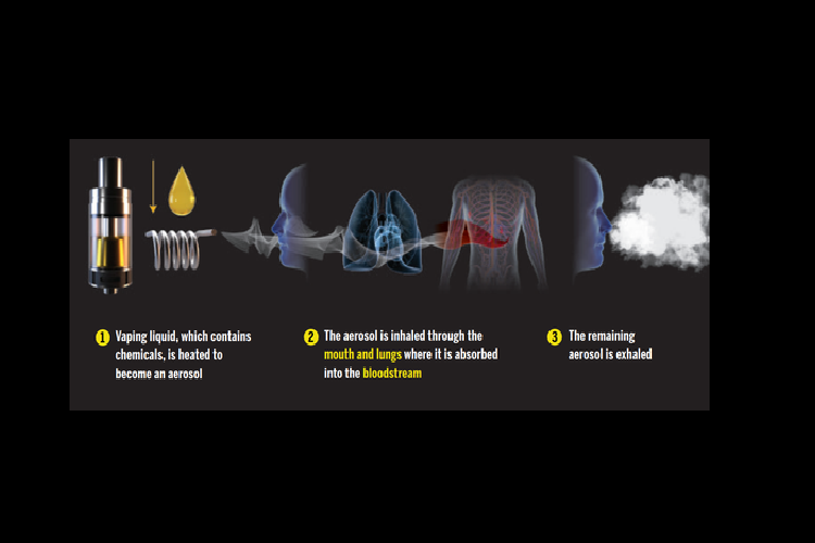 Thuoc la dien tu se lam bien doi mach mau va he tuan hoan-Hinh-2