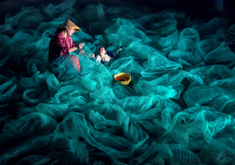 Giám khảo cuộc thi là những nhiếp ảnh gia chuyên nghiệp, đã chọn lọc và chấm giải trong hơn 40.000 tác phẩm gửi về từ khắp nơi trên thế giới. Để tạo điều kiện cho mọi người dùng smartphone có thể tham gia, cuộc thi được chia thành 2 bảng: Dành cho người dùng Oppo và dành cho người dùng mở (tất cả thiết bị smartphone khác). 