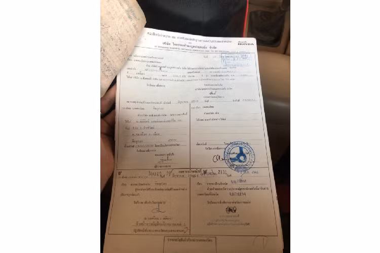 Đến thời điểm hiện tại, những chiếc xe máy Honda Wave vẫn được nhiều người “săn lùng”. Những năm cuối thập niên 90, Honda Wave Thái cùng với Dream Thái là 2 mẫu xe gây sốt trên thị trường xe máy Việt Nam.