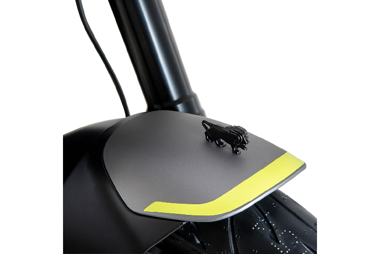 Benelli cho biết chú sư tử được đặt tại vị trí chắn bùn trước có ý nghĩa mong muốn nhìn lại lịch sử hào hùng của hãng xe này. Trong tiếng Italy, Leoncino mang nghĩa "chú sư tử nhỏ bé" 