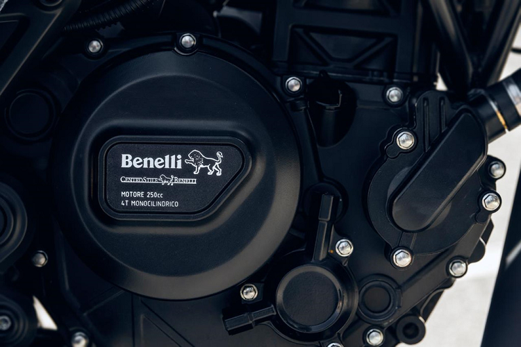 Leoncino 250 sử dụng động cơ 249 cc, xy-lanh đơn, làm mát bằng dung dịch. Khối động cơ này tạo ra công suất 25 mã lực tại 9.000 vòng/phút, mô-men xoắn cực đại 21 Nm tại 7.500 vòng/phút