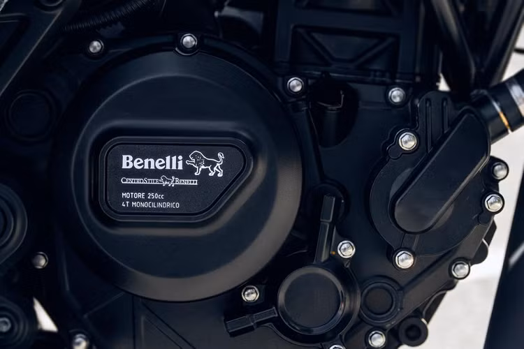 Leoncino 250 sử dụng động cơ 249 cc, xy-lanh đơn, làm mát bằng dung dịch. Khối động cơ này tạo ra công suất 25 mã lực tại 9.000 vòng/phút, mô-men xoắn cực đại 21 Nm tại 7.500 vòng/phút