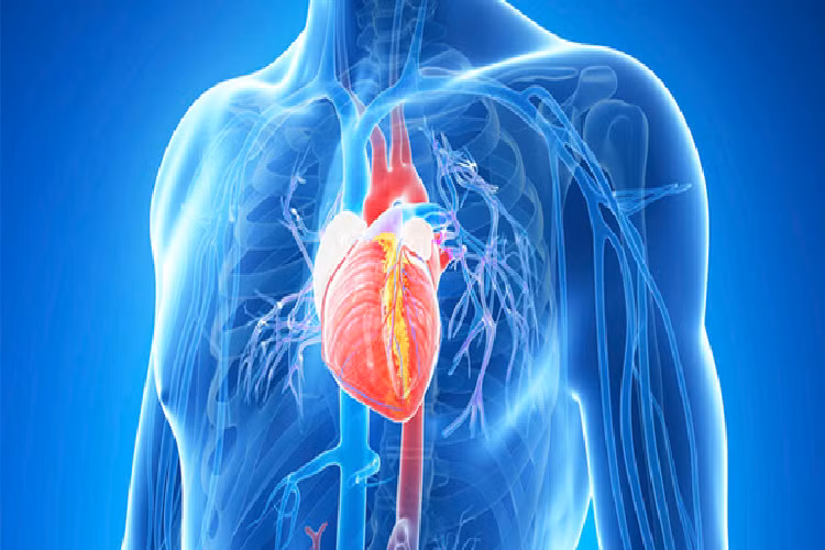 Chỉ uống nước lọc 1 tháng, điều gì sẽ xảy ra với cơ thể bạn? - Hình 8 Chi uong nuoc loc 1 thang, dieu gi se xay ra voi co the ban?-Hinh-8