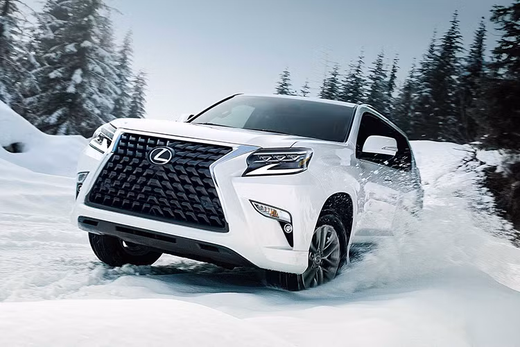 Ngoài GX, Lexus có thể sẽ mang đến bản nâng cấp facelift mới nhất cho dòng RX thế hệ thứ 4 sở hữu nhiều tinh chỉnh sửa đổi ở ngoại thất, nâng cấp hệ thống giải trí đa phương tiện, bổ sung nhiều tính năng an toàn mới. Phiên bản nâng cấp facelift giữa đời của dòng RX vừa được Lexus giới thiệu hồi cuối tháng 5 vừa qua tại Mỹ, và hiện đang được bán ra ở một số quốc gia trong khu vực Đông Nam Á như Malaysia hay Thái Lan.