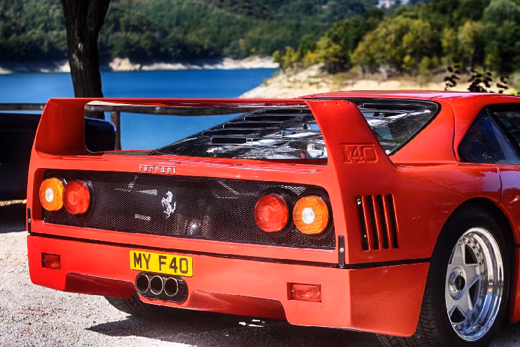 Đoàn xe này bao gồm nhiều chiếc Ferrari cổ đặc biệt, có giá trị cao, điển hình phải kể đến là Ferrari 750 Monza 1954, 1957 500 TRC và một chiếc 1964 275 GTB,…Đoàn xe đi diễu hành quanh Rome, đi qua thị trấn bình dị của Frascati và Castel Gandolfo trên đường.