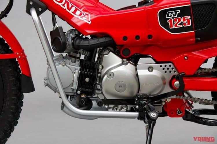 Trên baga này được dập chìm chữ "Trail Hunter" - một sự gợi nhớ về các phiên bản Cub Trail và Hunter Cub tiền nhiệm.