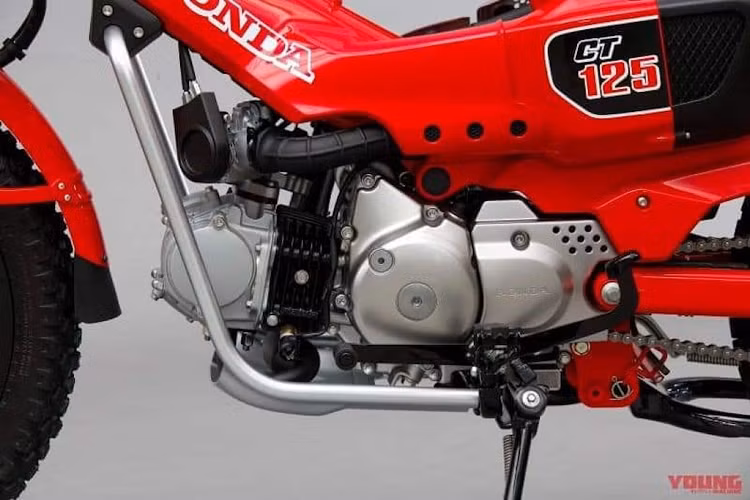 Trên baga này được dập chìm chữ "Trail Hunter" - một sự gợi nhớ về các phiên bản Cub Trail và Hunter Cub tiền nhiệm.