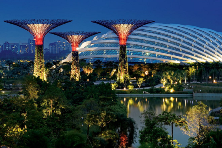 Trên trang web thành phố, Neom được cho rằng sẽ lấy một chút cảm hứng từ Gardens by the bay của Singapore. 