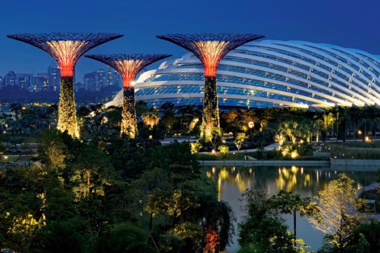 Trên trang web thành phố, Neom được cho rằng sẽ lấy một chút cảm hứng từ Gardens by the bay của Singapore. 