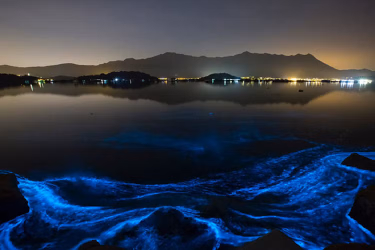 Đường bờ biển của thành phố giáp với Biển Đỏ sẽ được phủ bởi lớp cát phát sáng trong đêm. 