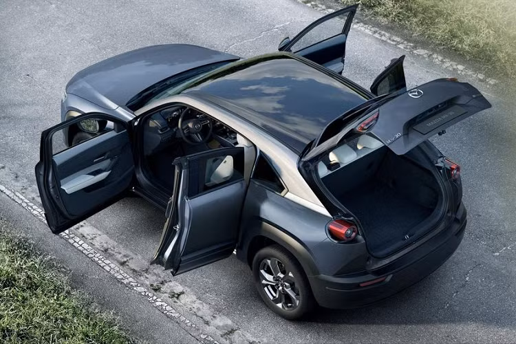 Các chất liệu được sử dụng trên khoang cabin đều từ vật liệu thân thiện với môi trường như các sợi làm từ vỏ chai nhựa tái chế (trên cánh cứa), các lớp vỏ cây trên màn hình trung tâm, và ghế giả da vintage cao cấp.