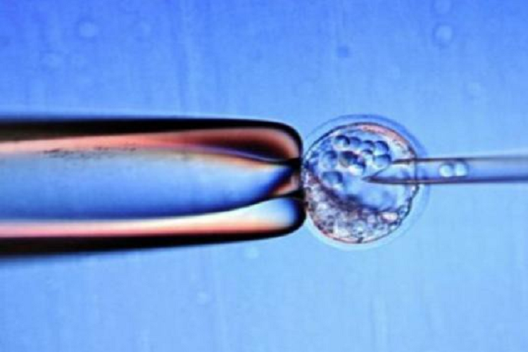 Trung Quoc che tao thanh cong robot hoat dong tren quy mo nho-Hinh-2