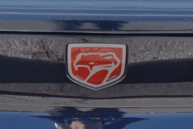 Tất cả những chiếc Dodge Viper đều có một dạng biến thể của một con rắn làm logo, nhưng những thiết kế ban đầu có thể là ngầu nhất. Con rắn thực ra đang cười nhếch mép trong hình ở đây.