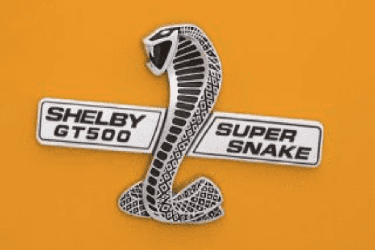 Con rắn hổ mang dữ tợn mà bạn thấy ở đây đã nằm trên thân vỏ của những chiếc xe Shelby mạnh mẽ nhất trong lịch sử. Nó đúng là một biểu tượng phù hợp.