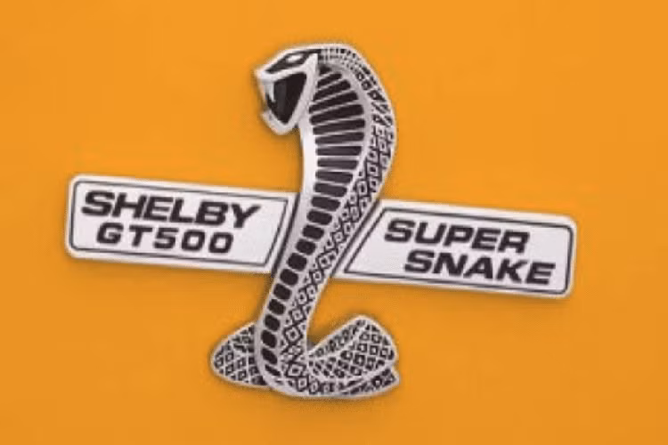 Con rắn hổ mang dữ tợn mà bạn thấy ở đây đã nằm trên thân vỏ của những chiếc xe Shelby mạnh mẽ nhất trong lịch sử. Nó đúng là một biểu tượng phù hợp.
