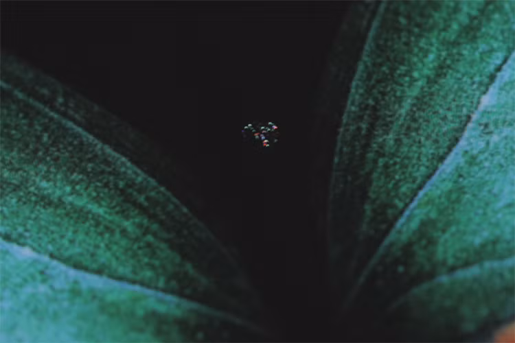 Galaxy Fold cua phong vien bi loi man hinh sau mot ngay su dung