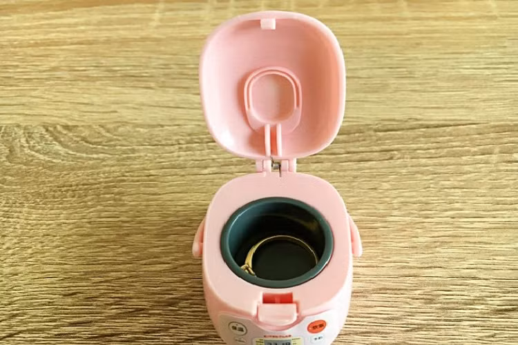 Và thật bất ngờ khi chiếc nồi cơm điện mini này lại vô tình trở thành một hũ đựng thức ăn rất hiệu quả cho thú cưng của cô, đó là một con chim sẻ.