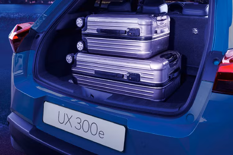 Thay thế cho động cơ thông thường là một mô tơ điện có công suất 201 mã lực (150 kilowatts) và mô men xoắn cực đại 300 Nm. Phía dưới dàn ghế là bộ pin lithium-ion 54.3-kWh. Nó đủ để cung cấp năng lượng cho chiếc xe chạy liên tục 400 km (250 dặm) sau 1 lần sạc đầy.