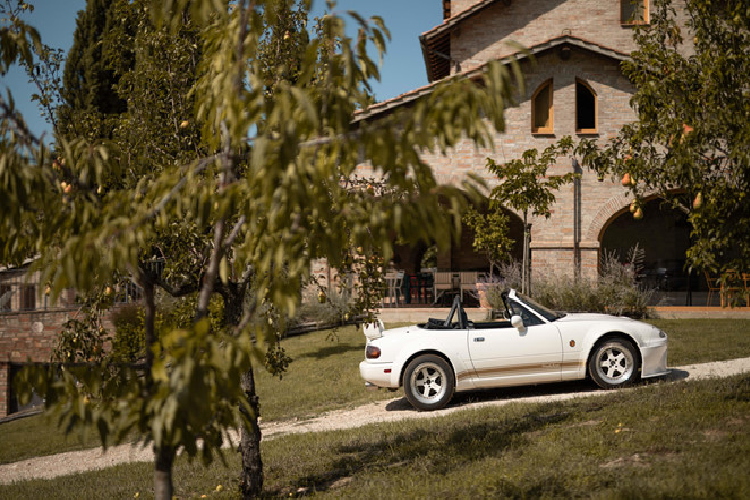  Bộ sưu tập Mazda MX-5 của Miataland vô cùng đa dạng với nhiều phiên bản đặc biệt tới từ châu Âu, Bắc Mỹ hay Nhật Bản.