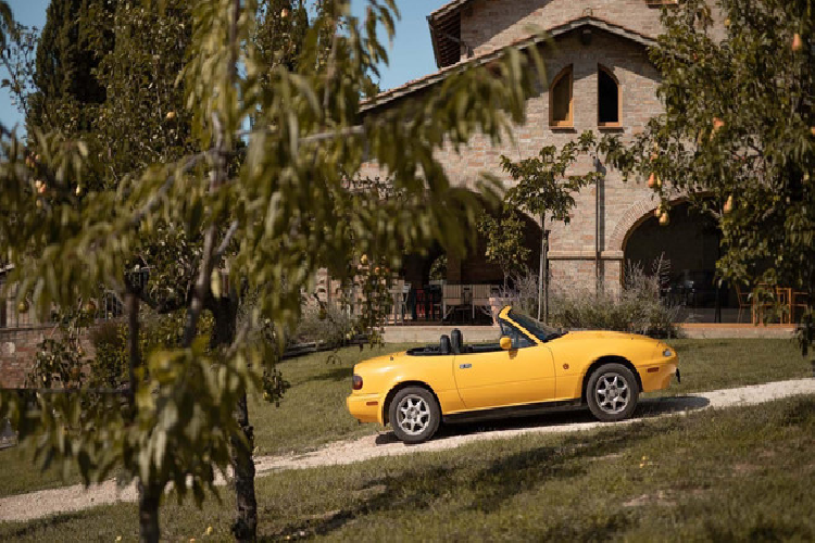 Thay vì được đánh số, các phòng ở resort này được đặt tên theo những màu sắc đã gắn liền với những chiếc Mazda MX-5 huyền thoại qua nhiều thế hệ như Velocity Red (đỏ), Sunburst Yellow (vàng) hay Mariner Blue (xanh dương).