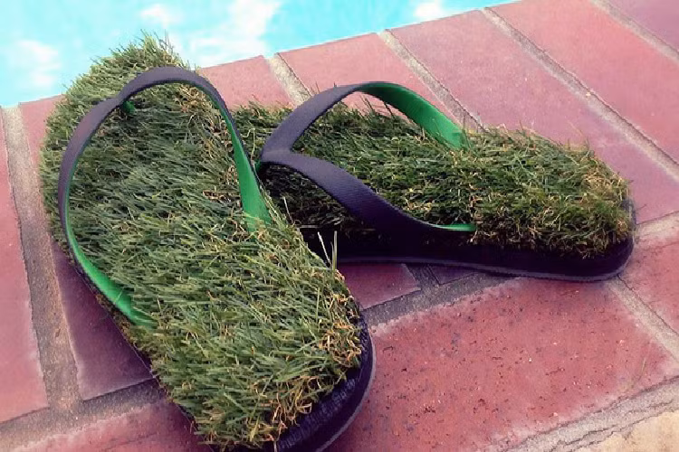 Dép tông cỏ Nếu muốn tận hưởng cảm giác đôi chân trần lướt trên bãi cỏ êm ái muôn nơi, bất chấp địa hình xung quanh có là đất cằn đá sỏi thì đôi dép tông đế cỏ xanh này chính là gợi ý dành cho bạn. Vừa đảm bảo vệ sinh nhé, vừa cảm giác thú vị, lại còn thu hút mọi ánh nhìn xung quanh, đôi dép hàng độc này quả là đặc biệt.