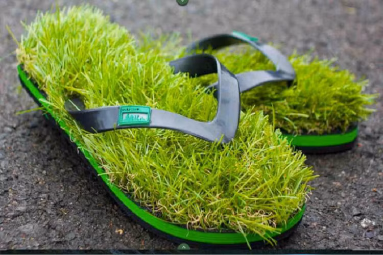 Khuyết điểm là dép lắm cỏ thế này mà mắc kẹt đất bụi hay hạt cát, hạt đá nào thì chắc cũng khá thốn nhỉ? Tất nhiên lớp cỏ xanh tốt được lót ở dép là cỏ nhân tạo, chứ làm sao mà nuôi trồng được cỏ thật trên dép.