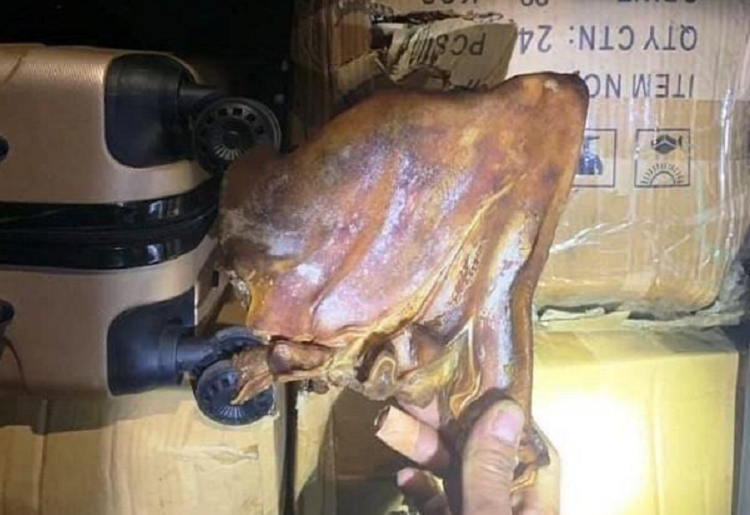 Thit lon ban tuon ve Ha Noi nhan con 