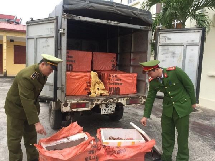 Thit lon ban tuon ve Ha Noi nhan con 