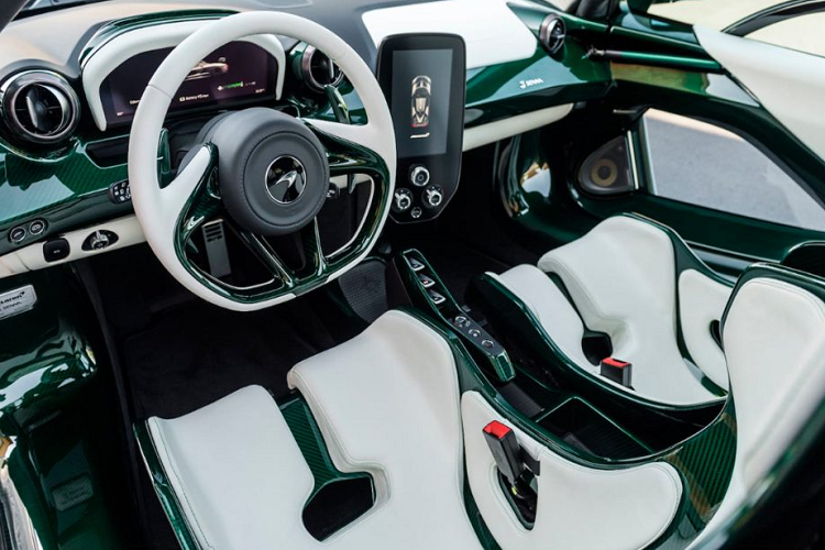 Riêng lớp áo carbon xanh này đã tiêu tốn của Fux một khoản tiền lên tới 300.000 Đô. Ngoài ra, ông còn chi thêm 90.000 Đô để có thể kết hợp những chi tiết bằng carbon xanh độc đáo với sự sang trọng của khoang nội thất màu trắng. Chiếc xe của Fux còn khá mới với ODO chỉ có 263km.