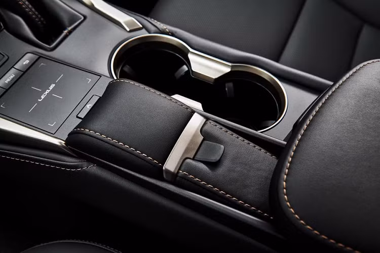 Đặc biệt nhiều chi tiết màu đồng, bao gồm những đường chỉ khâu màu đồng trên ghế, táp-lô, bảng điều khiển trung tâm, cửa, thảm sàn..