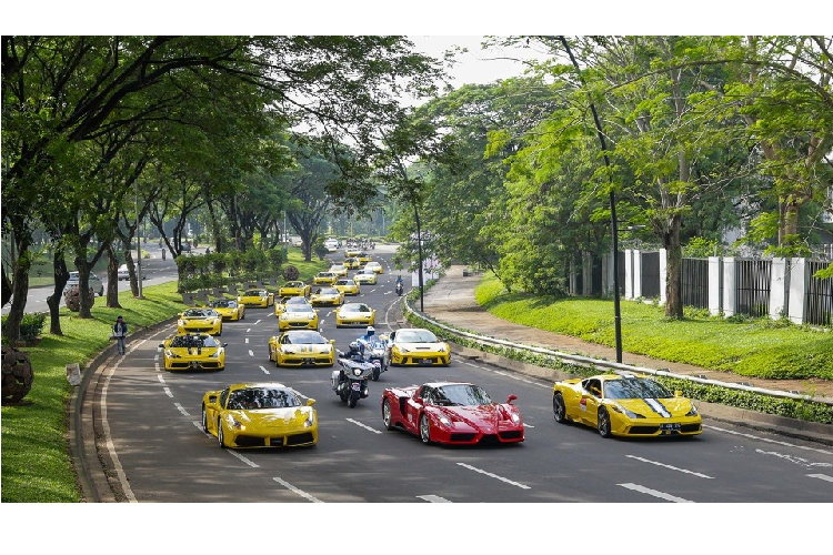 Ferrari Enzo ban đầu chỉ có 349 chiếc được sản xuất nhưng trước sự phản ứng của các khách hàng, hãng siêu xe Ý đã tạo ra thêm 50 chiếc khác. Chưa dừng lại đó, chiếc Ferrari Enzo thứ 400 cũng nhanh chóng được cho ra đời nhưng dành vào việc thiện nguyện là đấu giá từ thiện nhằm ủng hộ các nạn nhân vụ sóng thần ở châu Á cuối năm 2004.