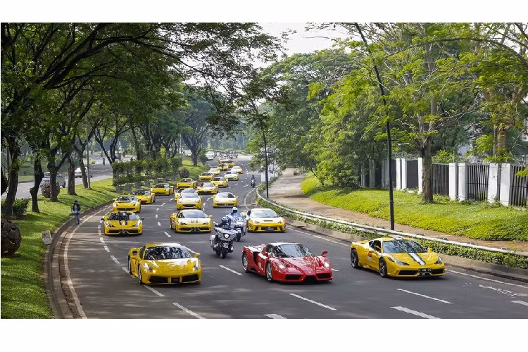 Ferrari Enzo ban đầu chỉ có 349 chiếc được sản xuất nhưng trước sự phản ứng của các khách hàng, hãng siêu xe Ý đã tạo ra thêm 50 chiếc khác. Chưa dừng lại đó, chiếc Ferrari Enzo thứ 400 cũng nhanh chóng được cho ra đời nhưng dành vào việc thiện nguyện là đấu giá từ thiện nhằm ủng hộ các nạn nhân vụ sóng thần ở châu Á cuối năm 2004.