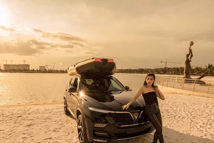 Động cơ trang bị cho Lux SA 2.0 là loại động cơ I4, DOHC, tăng áp dung tích 2.0L kết hợp với hộp số tự động 8 cấp, giúp sản sinh công suất tối đa 228 mã lực tại 5.000-6.000 vòng/phút và mô-men xoắn cực đại đạt 350 Nm tại 1.750-4.500 vòng/phút.