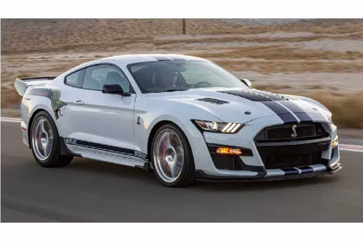 Shelby chưa công bố mức giá xe GT500 Dragon Snake, dù rằng đây chỉ mới là bản concept ý tưởng. Nhưng nếu tính toán thử, bản Shelby Mustang GT500 tiêu chuẩn có giá từ 70,300 USD thì với những cải tiến như trên thì giá xe có thể vượt quá 6 chữ số là điều hoàn toàn có thể xảy ra trong trường hợp Shelby chính thức sản xuất Dragon Snake.