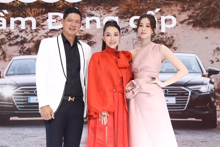 Tại Mỹ, Viện Bảo hiểm An toàn Đường cao tốc (IIHS) đã trao giải chiếc xe an toàn hàng đầu 2019 cho Audi Q8. Mẫu Audi Q8 được trưng bày tại VMS 2019 với phiên bản động cơ 3.0 TFSI quattro