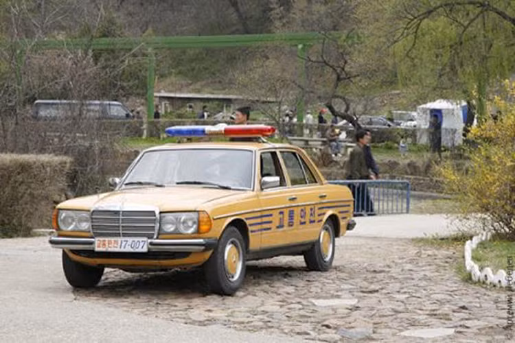 Trở lại năm 1988, người sáng lập người Mỹ Donald Panoz đã mua một thiết kế khung gầm xe đua Ailen và bắt đầu phát triển Panoz Roadster. Nó đã được bán ra thị trường vào năm 1990 khi được quảng bá là: “Sức mạnh tàn nhẫn và sức mạnh thô được chế tạo cho trải nghiệm đỉnh cao của việc lái xe tốc độ cao.” Panoz tiếp tục chế tạo thêm xe hơi cũng như đua chúng tại Le Mans. Ông cũng đã tạo ra Series Le Mans của Mỹ và mở trường dạy lái xe khi mua các đường đua.