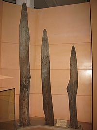 Những cọc nhọn được cho là đã được quân Đại Việt dùng để tiêu diệt thủy quân Nguyên. Hiện vật trưng bày tại Bảo tàng Lịch sử Việt Nam. Ảnh: Bảo tàng Lịch sử Việt Nam.