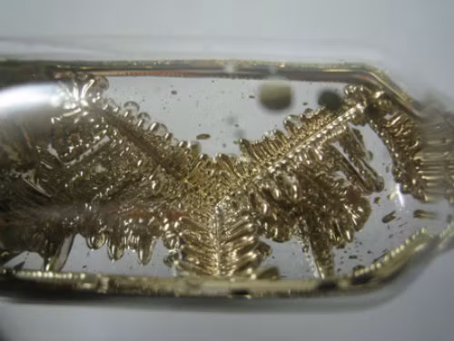 Hang loat vu that lac nguon phong xa rung dong Viet Nam