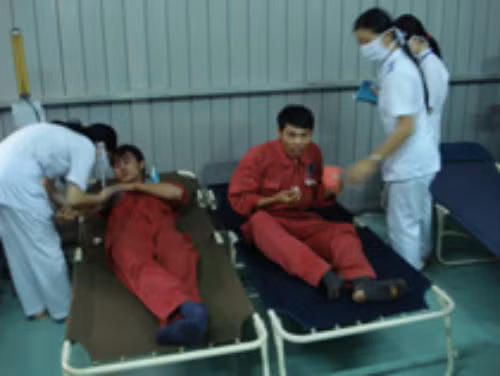 Hang loat vu that lac nguon phong xa rung dong Viet Nam-Hinh-4