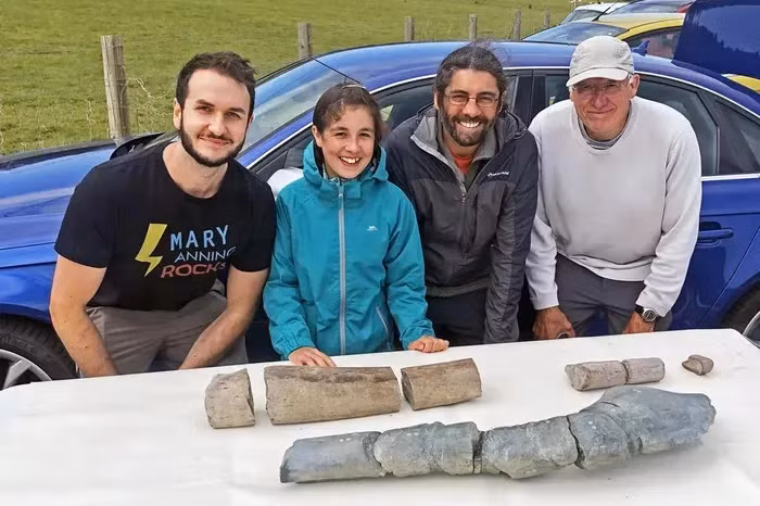 Sau 12 năm săn tìm trên bãi biển Braunton, Anh, họ đã tình cờ phát hiện một mảnh hoá thạch trên bãi biển Blue Anchor.