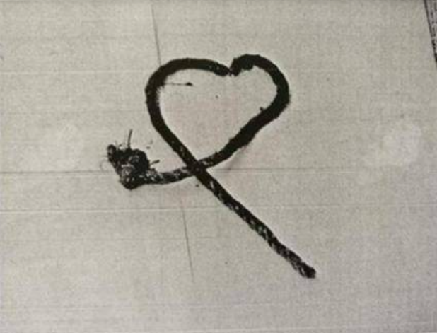 Tuy nhiên, hài cốt của nữ quý tộc và nhiều di vật quý giá khác vẫn bị hủy hoại.